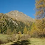 Ausserwalderhof